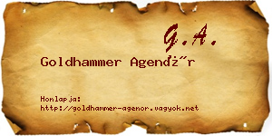 Goldhammer Agenór névjegykártya